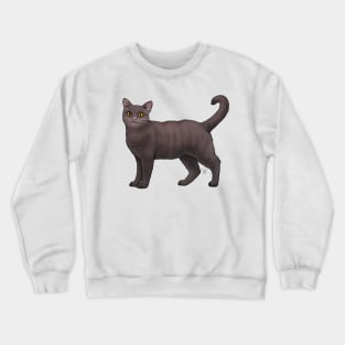 Cat - American Wirehair - Dark Brown Crewneck Sweatshirt